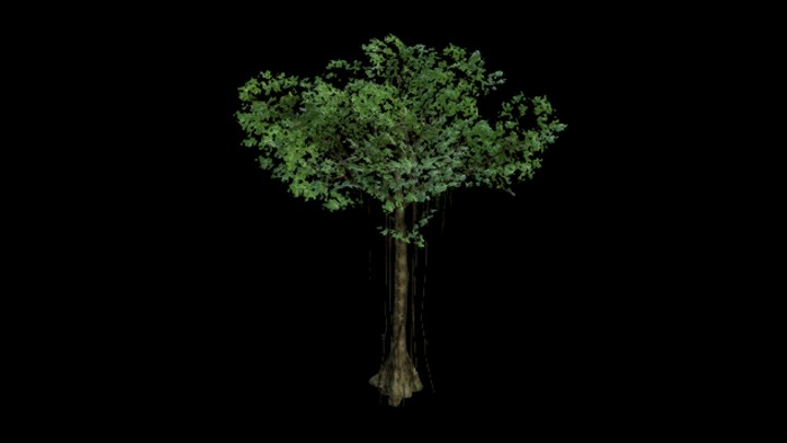 UE项目资源_模型资源_树585