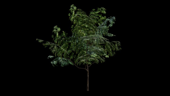 UE项目资源_模型资源_树594