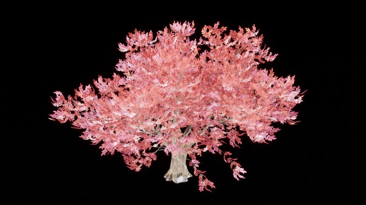 UE项目资源_模型资源_树606