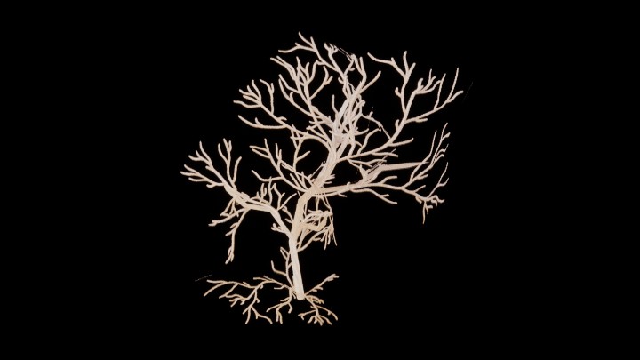 UE项目资源_模型资源_树611