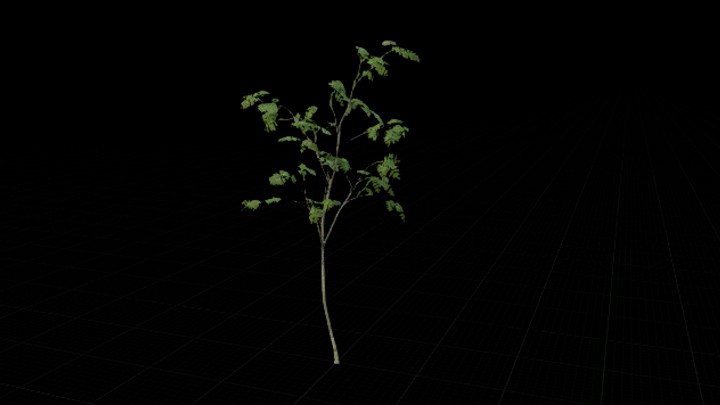 UE项目资源_模型资源_树632