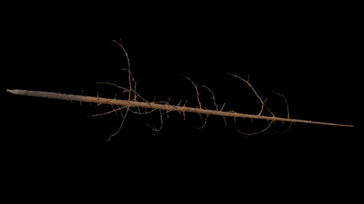 UE项目资源_模型资源_树643