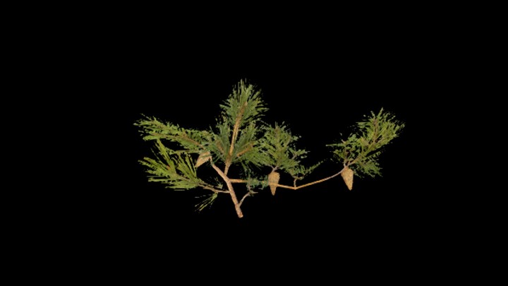 UE项目资源_模型资源_树676