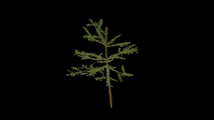 UE项目资源_模型资源_树682