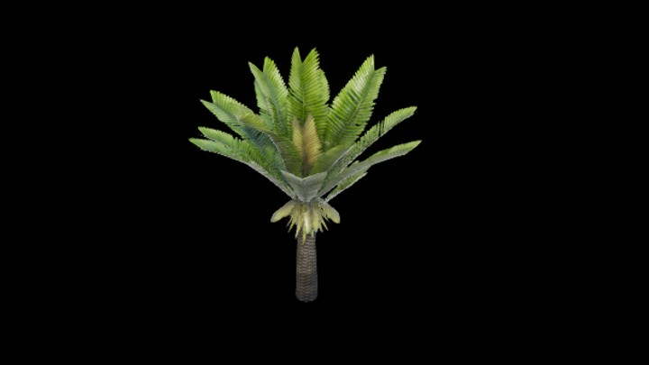 UE项目资源_模型资源_树702