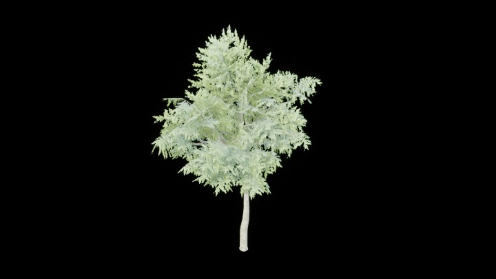 UE项目资源_模型资源_树703