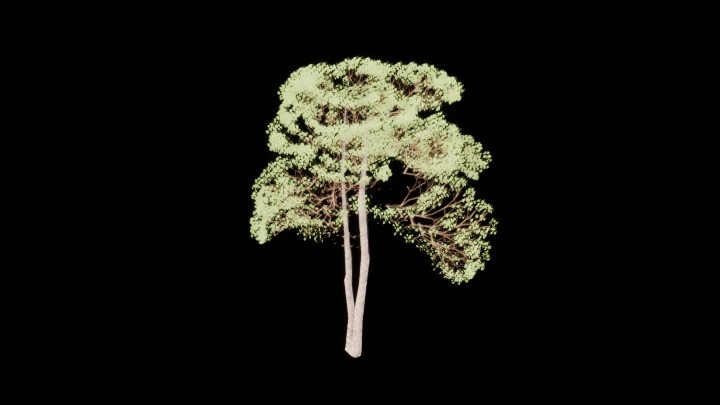 UE项目资源_模型资源_树707