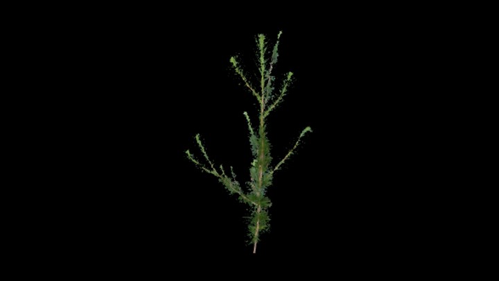 UE项目资源_模型资源_树724