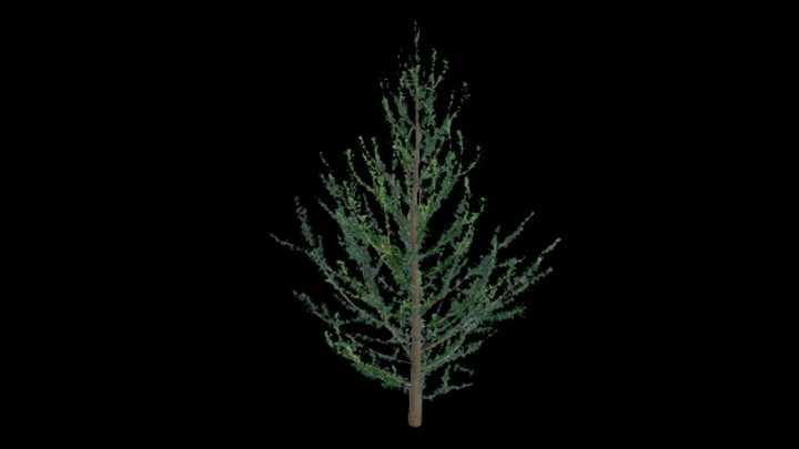 UE项目资源_模型资源_树726