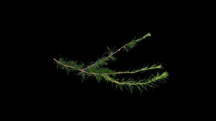 UE项目资源_模型资源_树728