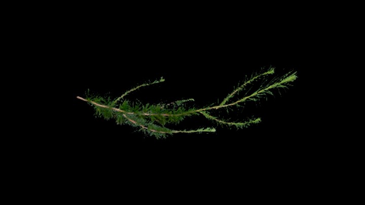 UE项目资源_模型资源_树729