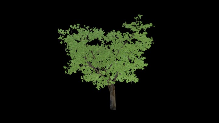 UE项目资源_模型资源_树789