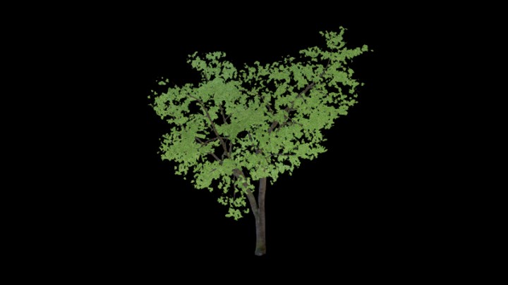 UE项目资源_模型资源_树791