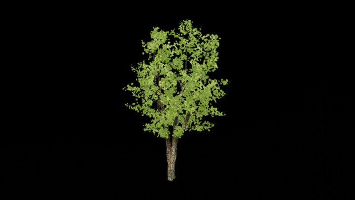 UE项目资源_模型资源_树804