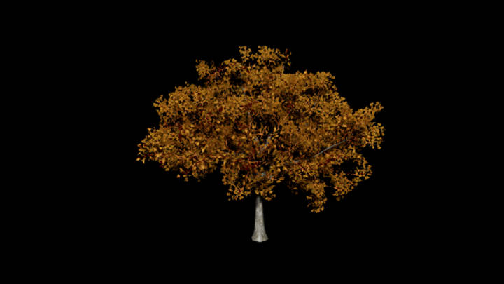 UE项目资源_模型资源_树809