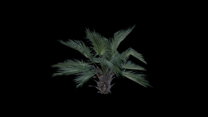 UE项目资源_模型资源_树820