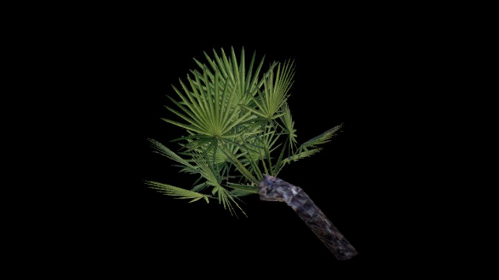 UE项目资源_模型资源_树834