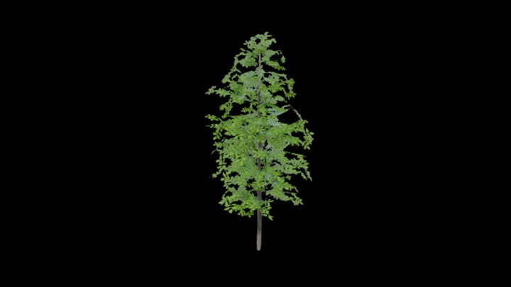 UE项目资源_模型资源_树851