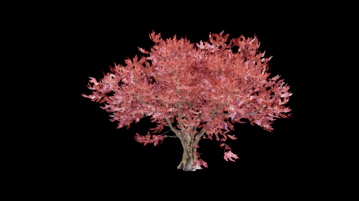 UE项目资源_模型资源_树859