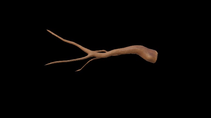 UE项目资源_模型资源_树干091