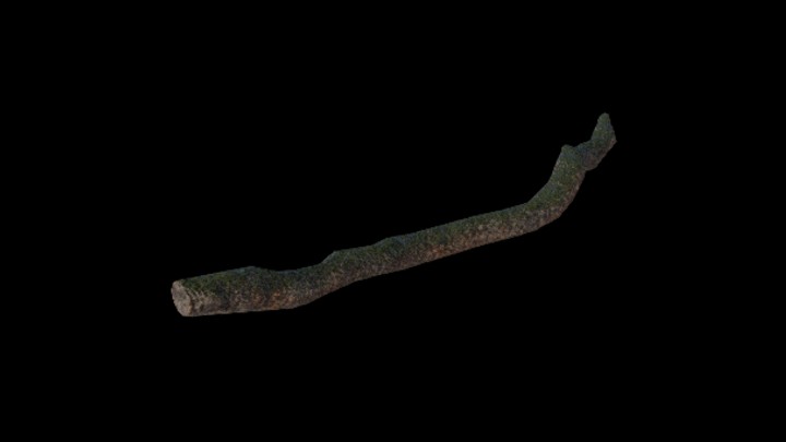 UE项目资源_模型资源_树枝076