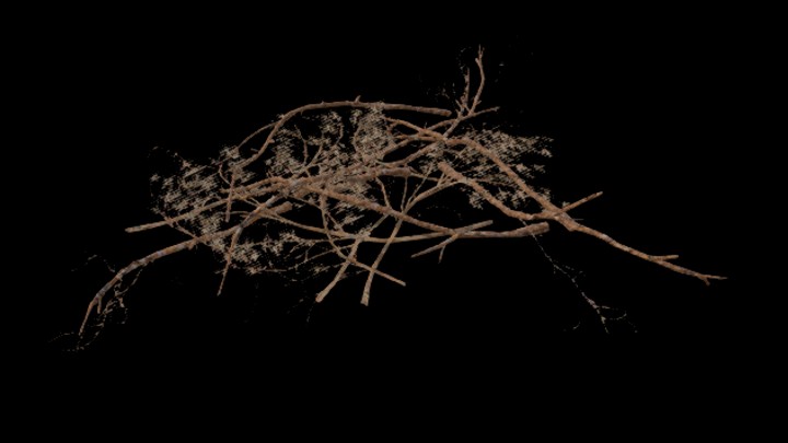 UE项目资源_模型资源_树枝091