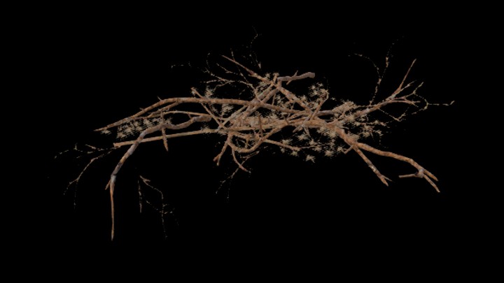 UE项目资源_模型资源_树枝092