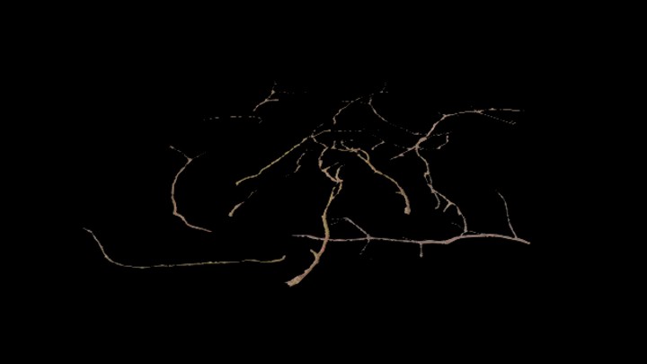 UE项目资源_模型资源_树枝101