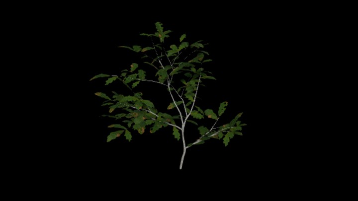 UE项目资源_模型资源_树枝111