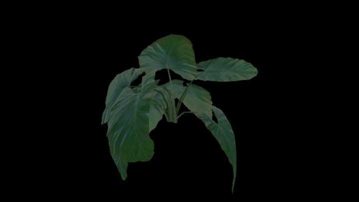 UE项目资源_模型资源_棕榈树009