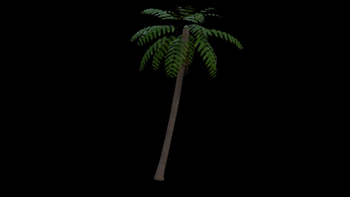 UE项目资源_模型资源_棕榈树014