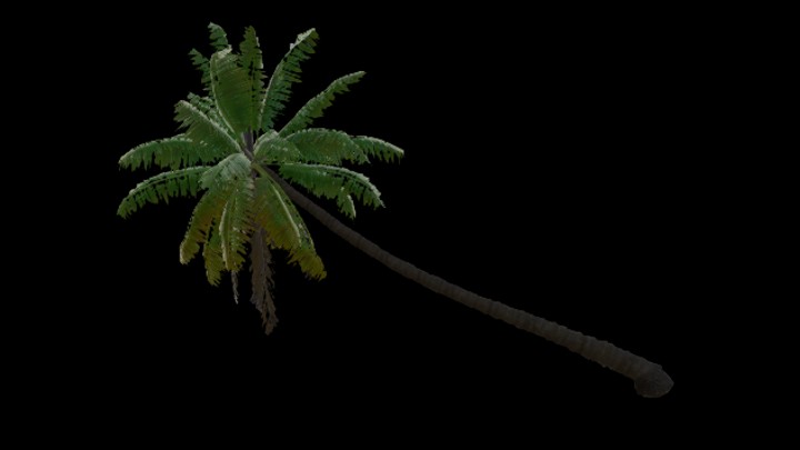 UE项目资源_模型资源_棕榈树019