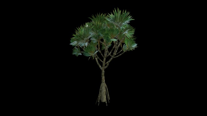 UE项目资源_模型资源_棕榈树029