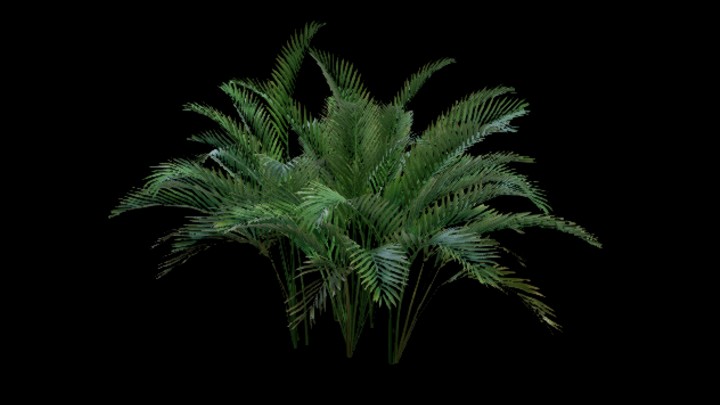 UE项目资源_模型资源_棕榈树040