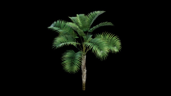 UE项目资源_模型资源_棕榈树050