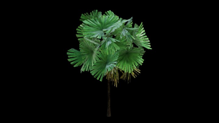 UE项目资源_模型资源_棕榈树056