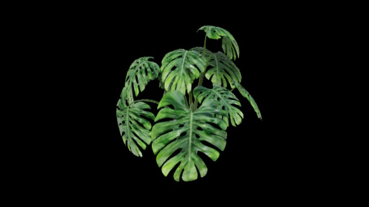 UE项目资源_模型资源_植物634