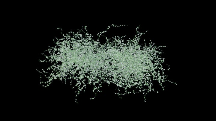 UE项目资源_模型资源_植物655