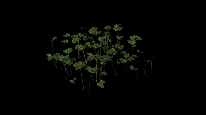 UE项目资源_模型资源_植物696