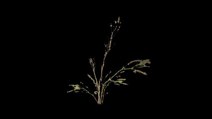 UE项目资源_模型资源_植物772