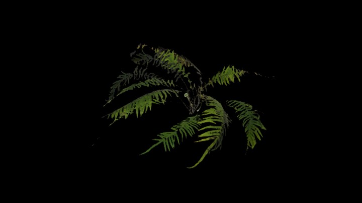 UE项目资源_模型资源_植物776