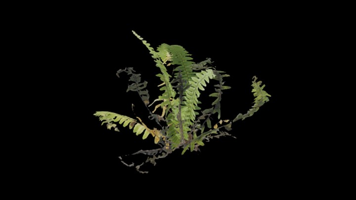 UE项目资源_模型资源_植物797