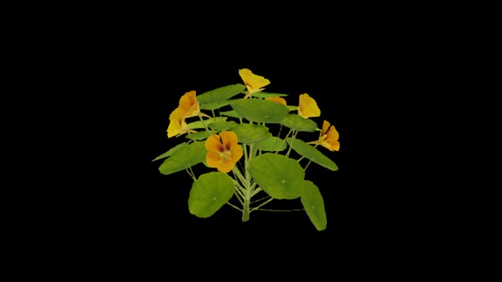 UE项目资源_模型资源_植物799