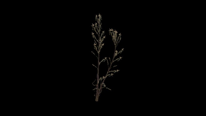 UE项目资源_模型资源_植物808