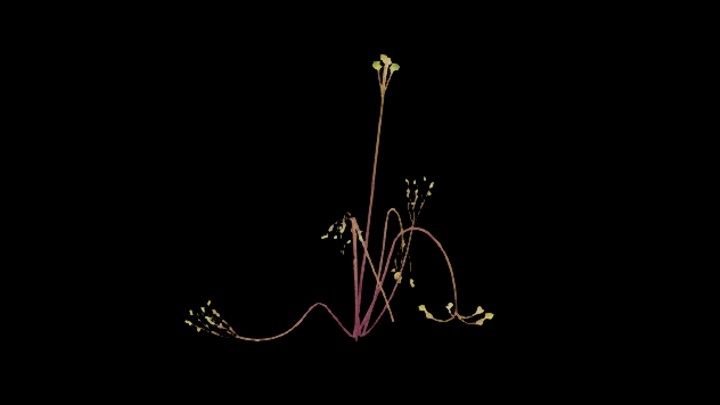 UE项目资源_模型资源_植物812