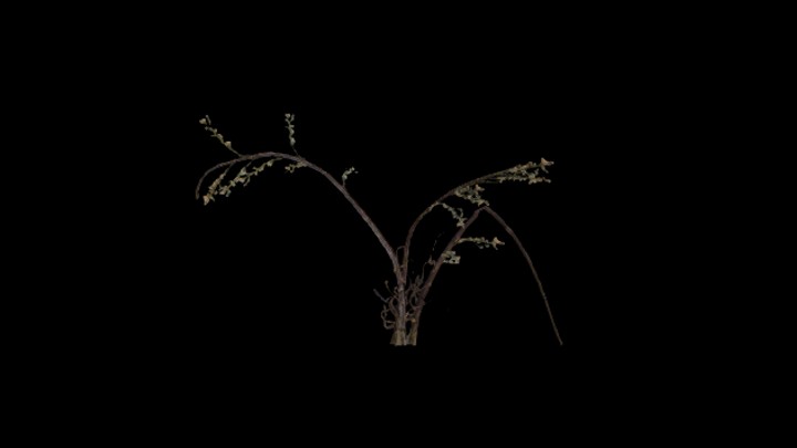 UE项目资源_模型资源_植物818