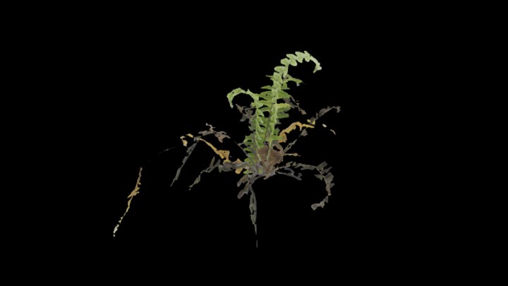 UE项目资源_模型资源_植物819