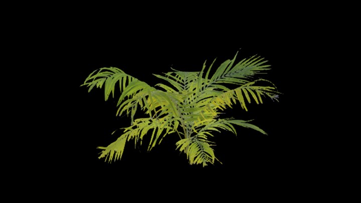 UE项目资源_模型资源_植物829