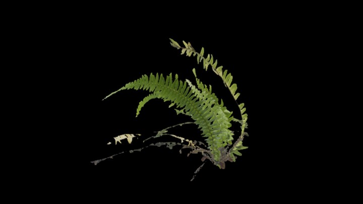 UE项目资源_模型资源_植物845