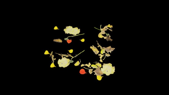 UE项目资源_模型资源_植物846